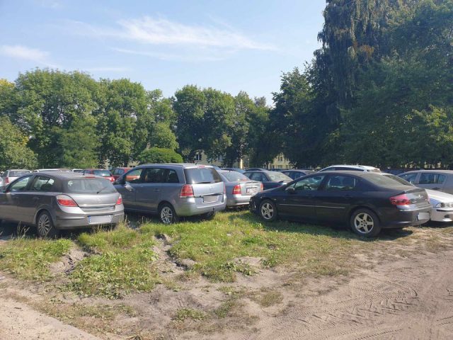 Na trawie, między drzewami, powstał ogromny parking. „To jedyny zielony teren na osiedlu” (zdjęcia)