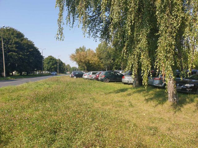 Na trawie, między drzewami, powstał ogromny parking. „To jedyny zielony teren na osiedlu” (zdjęcia)