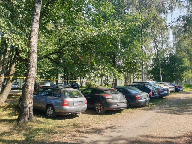 Na trawie, między drzewami, powstał ogromny parking. „To jedyny zielony teren na osiedlu” (zdjęcia)