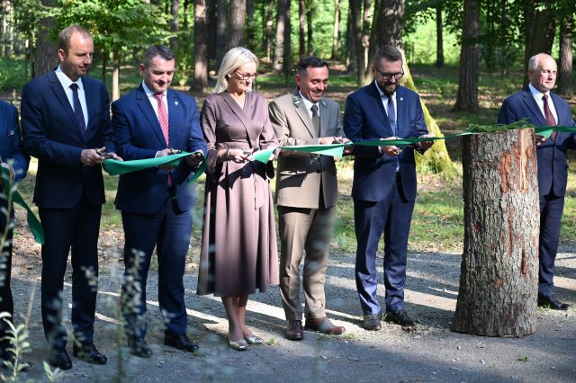 Arboretum Leśne otwarte po przebudowie. To atrakcyjne miejsce spacerów dla całych rodzin (zdjęcia)