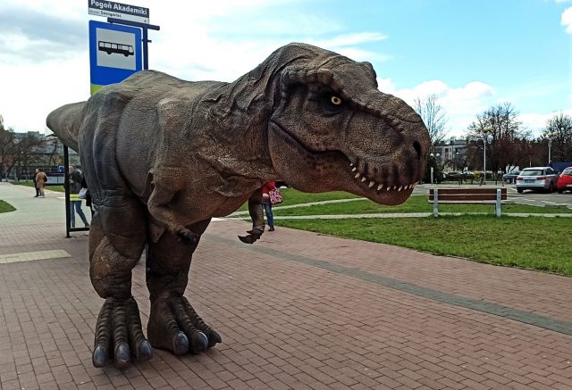 Foire et exposition zoologique ZOOPARK – découvrez les attractions !