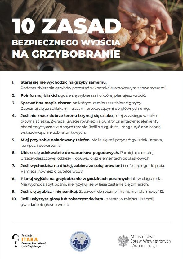 Wybierasz się na grzyby? Zapoznaj się z zasadami bezpieczeństwa podczas grzybobrania