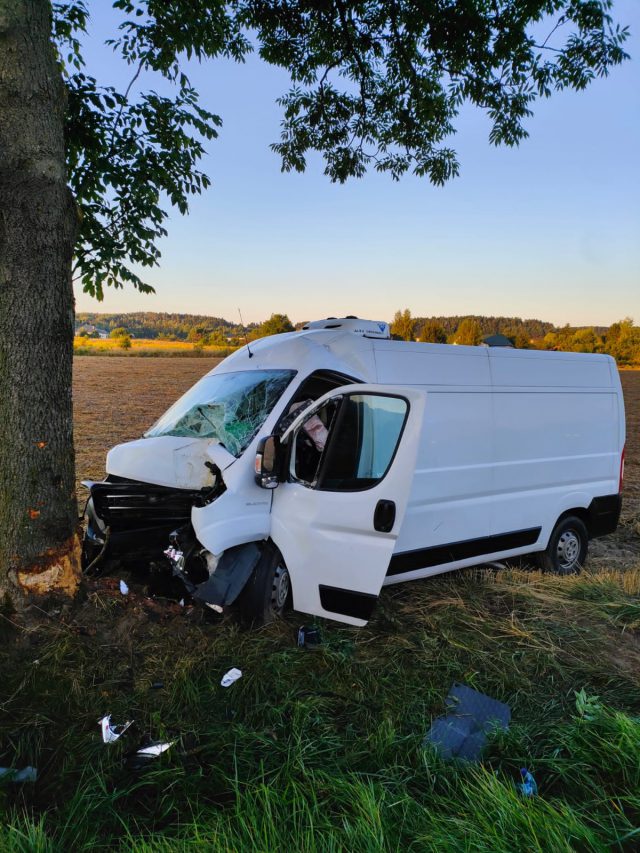 Dostawczy fiat wypadł z drogi i uderzył w drzewo. Kierowcy nic poważnego się nie stało (zdjęcia)