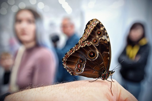 Wystawa i Targi Zoologiczne ZOOPARK – zobacz atrakcje!