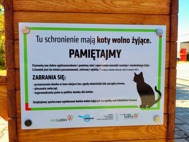 Dla bezdomnych kotów z Lublina będą ocieplane M6 (zdjęcia)