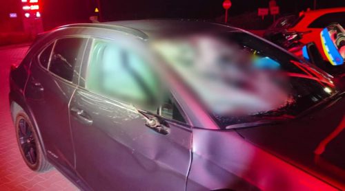 Lexus zderzył się z łosiem, honda uderzyła w dzika (zdjęcia)