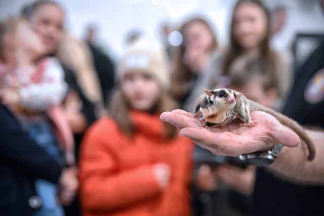 Foire et exposition zoologique ZOOPARK – découvrez les attractions !