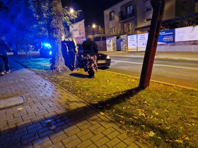 BMW uderzyło w drzewo. Trwa ustalanie, który z obywateli Bułgarii siedział za kierownicą (zdjęcia)