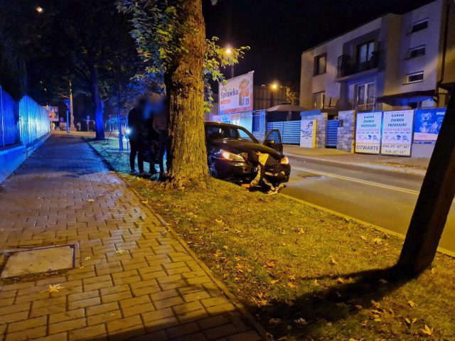 BMW uderzyło w drzewo. Trwa ustalanie, który z obywateli Bułgarii siedział za kierownicą (zdjęcia)