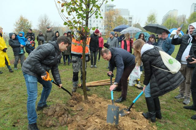 W Lublinie posadzono 500 nowych drzew. Powstał też mural neutralizujący szkodliwe substancje (zdjęcia)