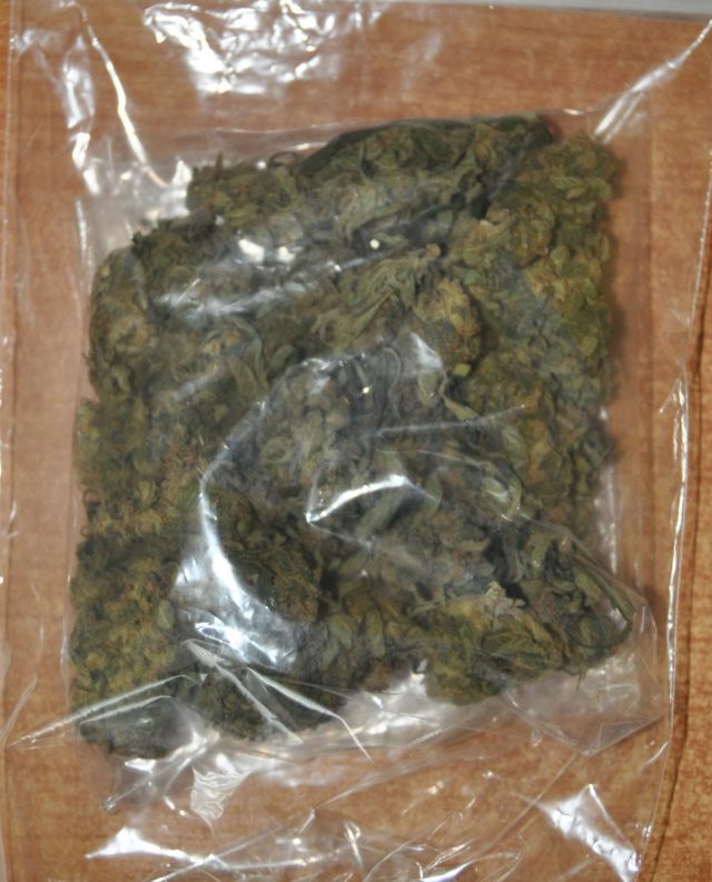 Miał ponad 1,5 tys. porcji dilerskich marihuany. Trafił do tymczasowego aresztu (zdjęcia)