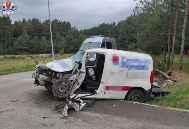 Groźne zdarzenia drogowe na terenie powiatu zamojskiego. W głównej roli alkohol i brawura (zdjęcia)