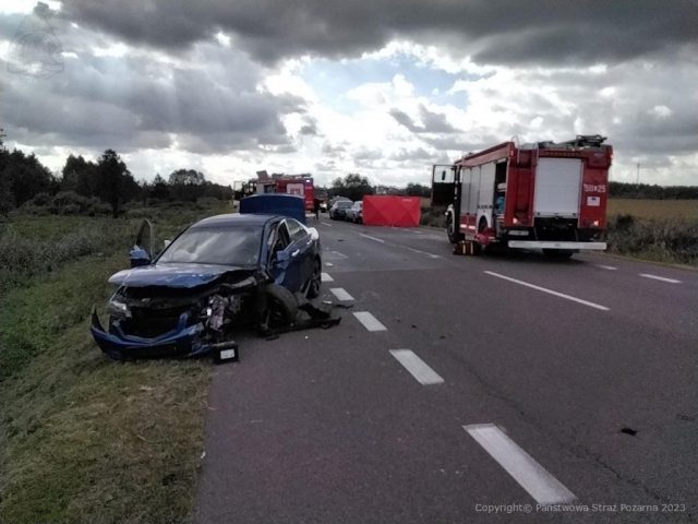 Po tragicznym wypadku zablokowana trasa Radzyń Podlaski – Kock. Jedna osoba nie żyje (zdjęcia)