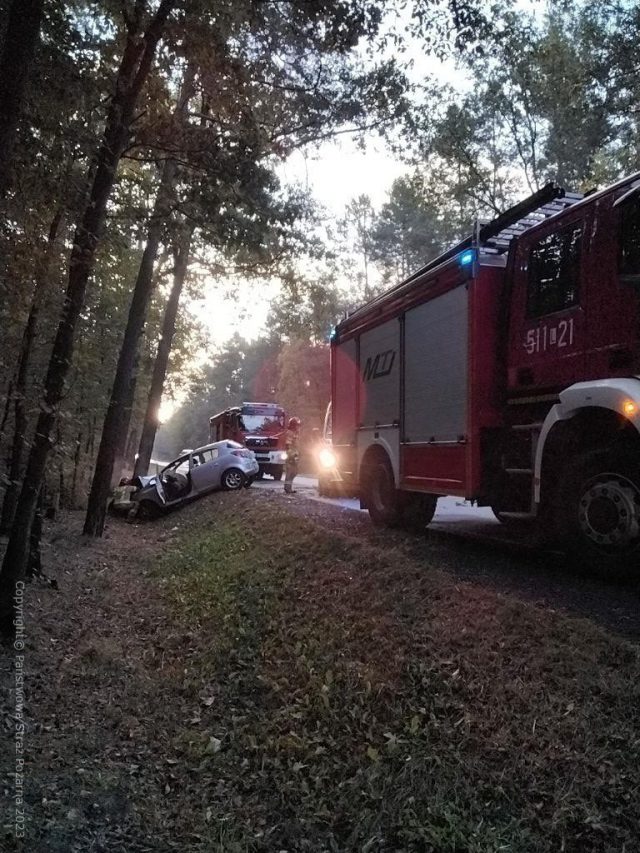 Samochód osobowy uderzył w drzewo, jedna osoba poszkodowana (zdjęcia)