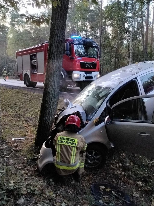 Samochód osobowy uderzył w drzewo, jedna osoba poszkodowana (zdjęcia)