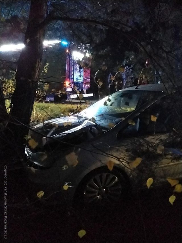 Zjechał z drogi i uderzył w drzewo. Jedna osoba poszkodowana (zdjęcia)