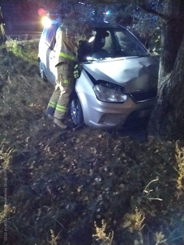 Zjechał z drogi i uderzył w drzewo. Jedna osoba poszkodowana (zdjęcia)