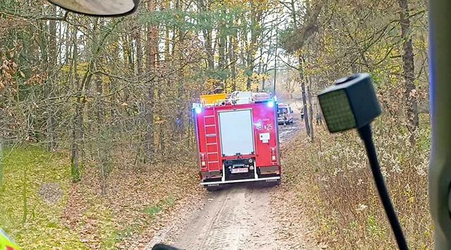 Tragiczny wypadek na leśnej drodze. Volkswagen uderzył w drzewo, nie żyje kierowca (zdjęcia)