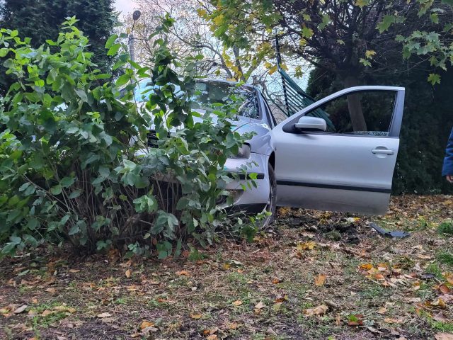 Straciła panowanie nad pojazdem. Auto staranowało ogrodzenie, zatrzymało się między drzewami (zdjęcia)