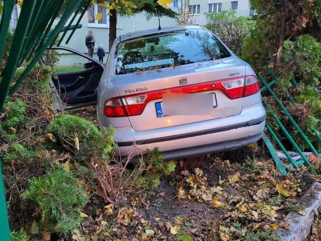 Straciła panowanie nad pojazdem. Auto staranowało ogrodzenie, zatrzymało się między drzewami (zdjęcia)