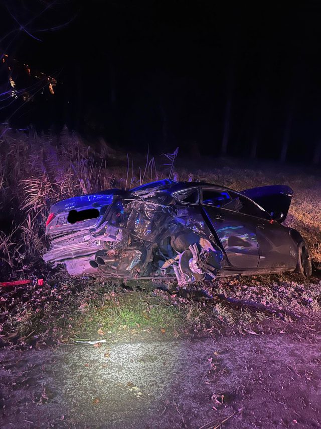 Audi wypadło z drogi, uderzyło w drzewo, słup i znak. Dwie osoby trafiły do szpitala (zdjęcia)