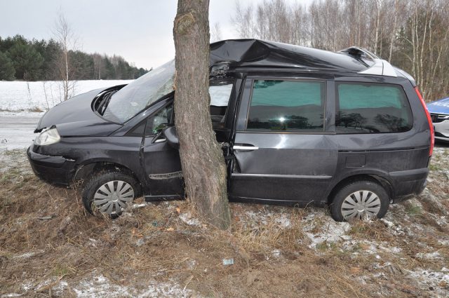 Straciła panowanie nad citroenem, pojazd bokiem uderzył w drzewo. 19-latka w szpitalu (zdjęcia)