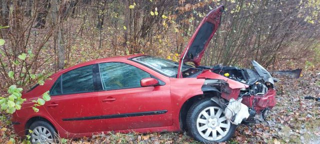 Na łuku drogi wjechał do rowu. Dostał mandat (zdjęcia)