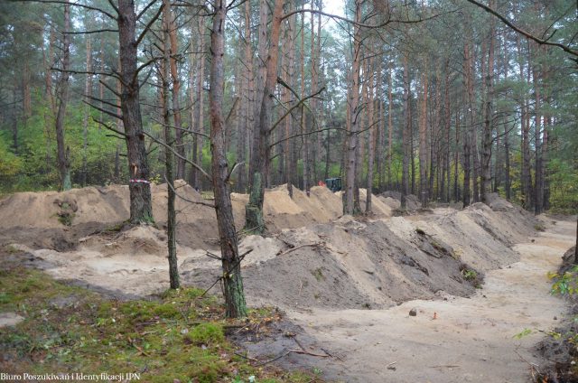 Przeszukują kompleks leśny we Włodawie. Chcą znaleźć miejsca pochówku żołnierzy podziemia niepodległościowego (zdjęcia)