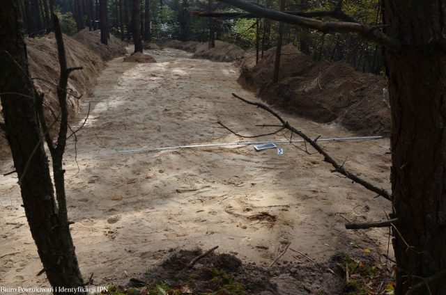 Przeszukują kompleks leśny we Włodawie. Chcą znaleźć miejsca pochówku żołnierzy podziemia niepodległościowego (zdjęcia)