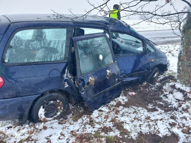 Seat wypadł z drogi i uderzył w drzewo. Jedna osoba trafiła do szpitala (zdjęcia)