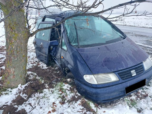 Seat wypadł z drogi i uderzył w drzewo. Jedna osoba trafiła do szpitala (zdjęcia)