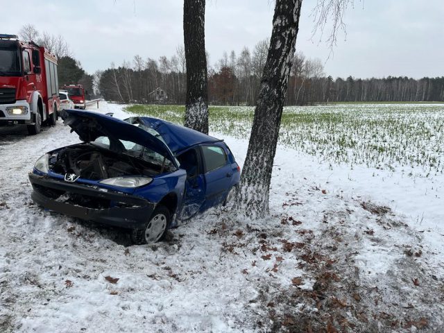 Peugeot wypadł z drogi i bokiem uderzył w drzewo. Interweniował śmigłowiec LPR (zdjęcia)