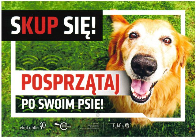 Psie kupy na trawnikach to nadal problem. W Lublinie rusza akcja „Woreczki zamiast mandatów”
