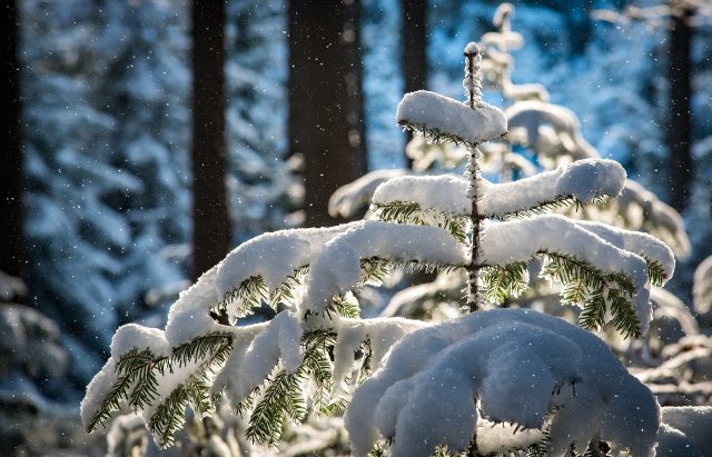 Pierwszy śnieg tej jesieni zmierza do woj. lubelskiego. Zrobi się nagle biało, drogi i chodniki będą niebezpiecznie śliskie