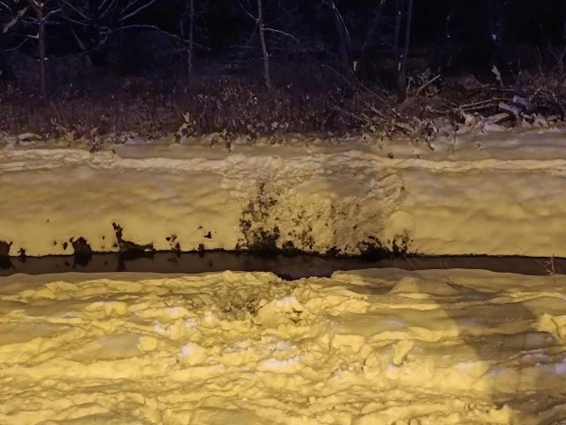 Akcja ratunkowa nad rzeką, w wodzie leżała kobieta. Dwie osoby trafiły do szpitala (zdjęcia)