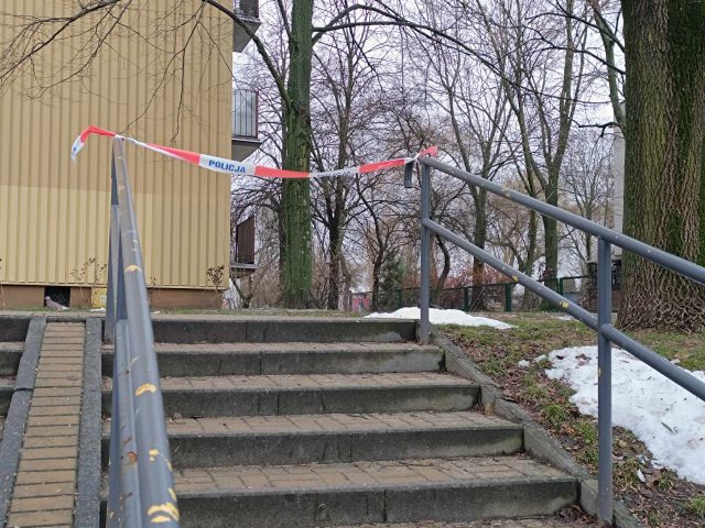 Przedmiot przypominający granat na jednym z osiedli w Lublinie. Na miejscu pracują policjanci (zdjęcia)