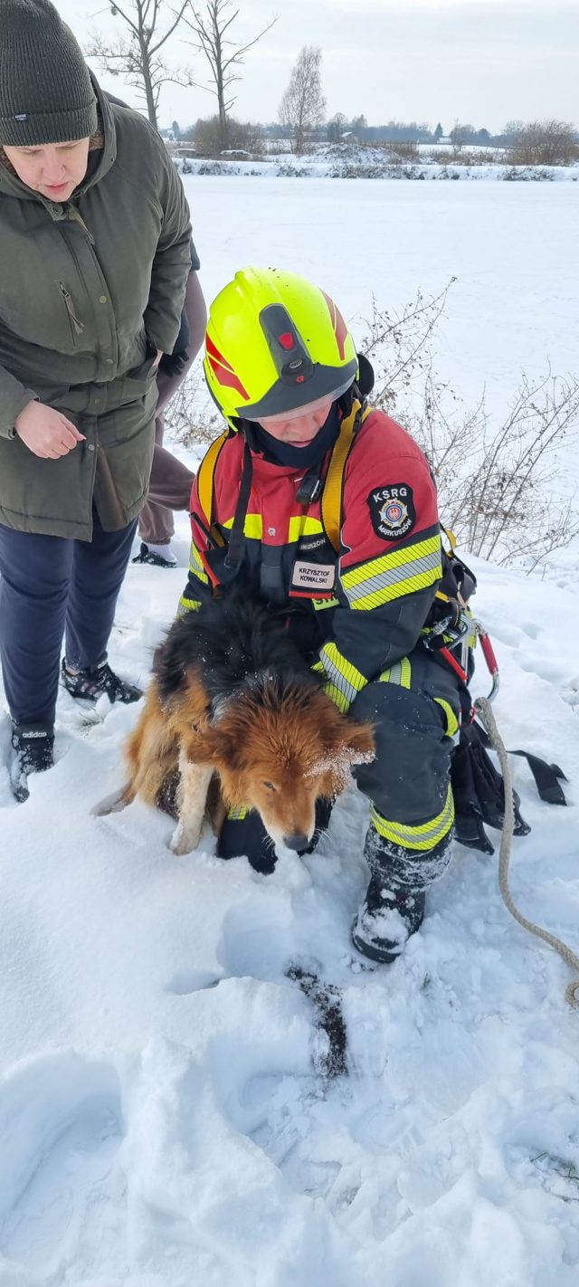 Strażacy ruszyli na ratunek wycieńczonemu psu (zdjęcia)