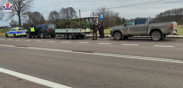 Strażnicy leśni i policjanci „pilnują” choinek. W użyciu fotopułapki, noktowizory oraz termowizory (zdjęcia)