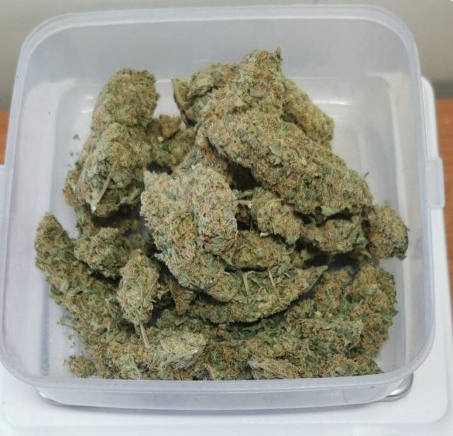 Nastolatek miał marihuanę. „Wystarczyłaby do sporządzenia ponad 200 porcji dilerskich” (zdjęcia)