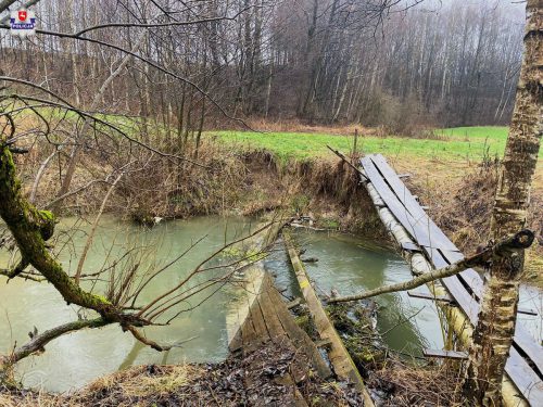 Z rzeki wydobyto ciało mężczyzny. Nie udało się go uratować (zdjęcia)