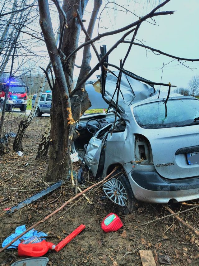 Nastolatek stracił panowanie nad pojazdem. Auto uderzyło w drzewo, nie żyje pasażerka (zdjęcia)