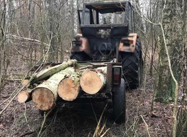 Złodziej drewna wpadł na gorącym uczynku, zatrzymał go właściciel lasu. „W moim lesie nie ma drzew” (zdjęcia)