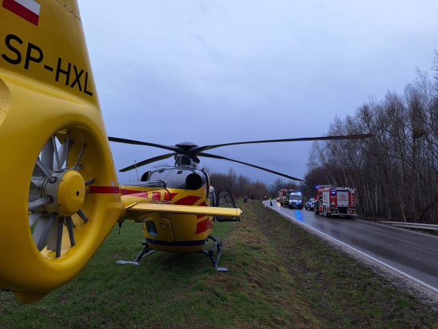 Nastolatek stracił panowanie nad pojazdem. Auto uderzyło w drzewo, nie żyje pasażerka (zdjęcia)