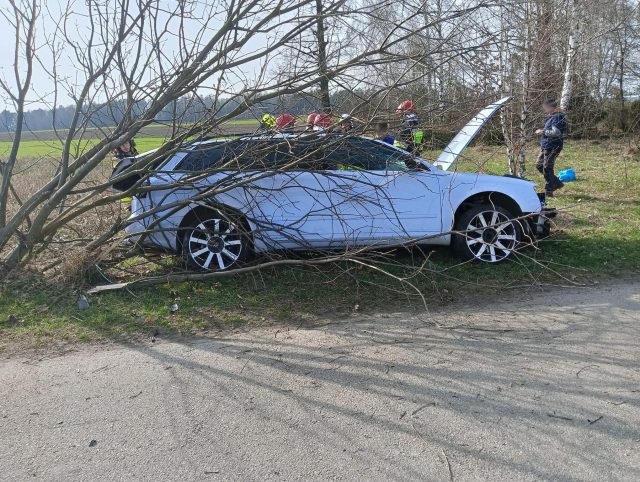 Audi uderzyło w drzewo i zatrzymało się na boku. Jedna osoba poszkodowana (zdjęcia)