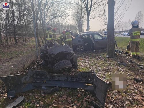 BMW roztrzaskało się na drzewie. Dwie osoby w poważnym stanie w szpitalu (zdjęcia)
