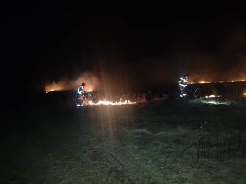 Strażacy z powiatu chełmskiego walczyli z pożarami traw (zdjęcia)