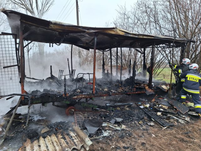 Kilka zastępów straży pożarnej walczyło z ogniem. Spłonął barak mieszkalny (zdjęcia)