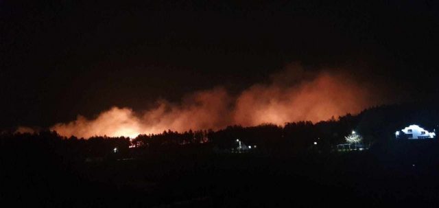 Duży pożar koło Opola Lubelskiego. Z ogniem walczy kilkanaście zastępów straży pożarnej (zdjęcia)