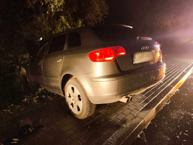 Audi wypadło z drogi i uderzyło w drzewo. Kierowca porzucił pojazd i uciekł pieszo (zdjęcia)