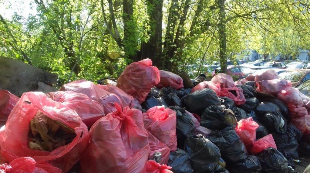 Osadzeni zebrali górę śmieci w rejonie tylko jednej ulicy. Było to ponad 400 worków z opadami (zdjęcia)